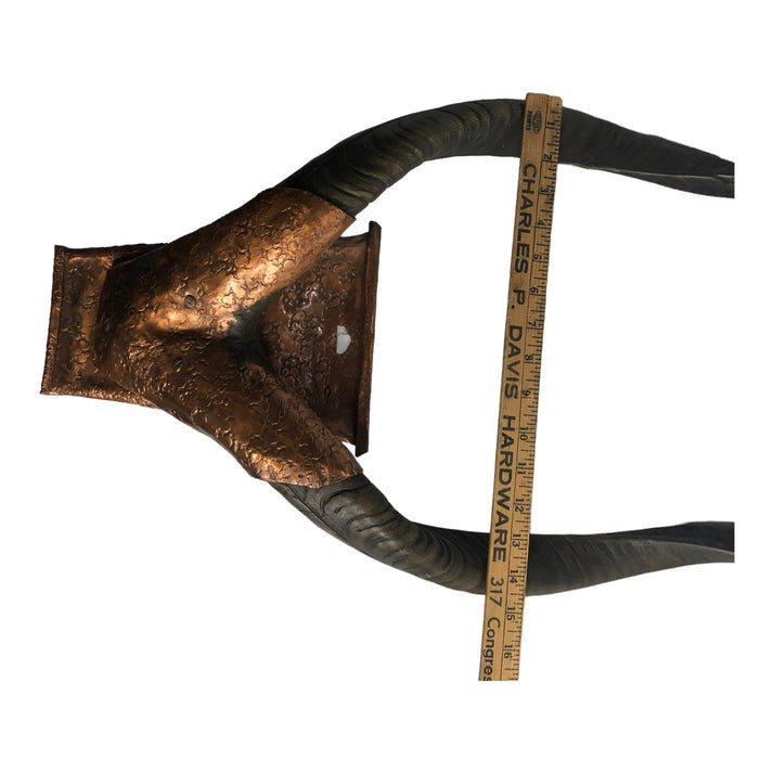 width measurment view of Natural Antler Mount with Hammered Copper Surround