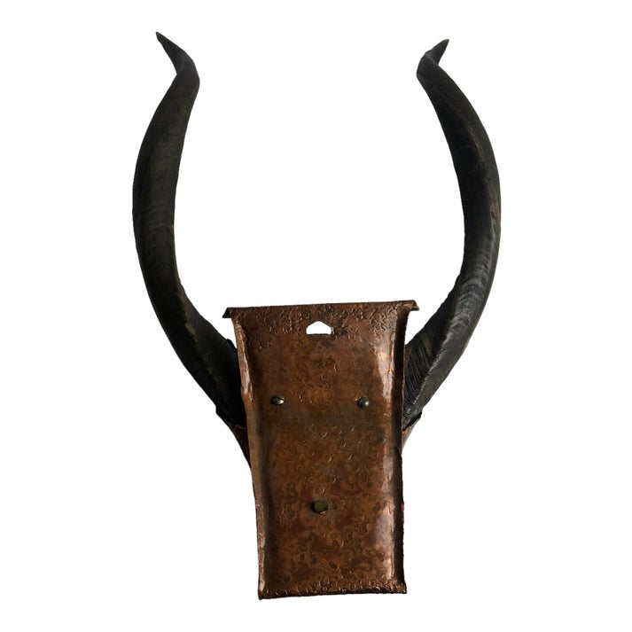 hanging view of Natural Antler Mount with Hammered Copper Surround